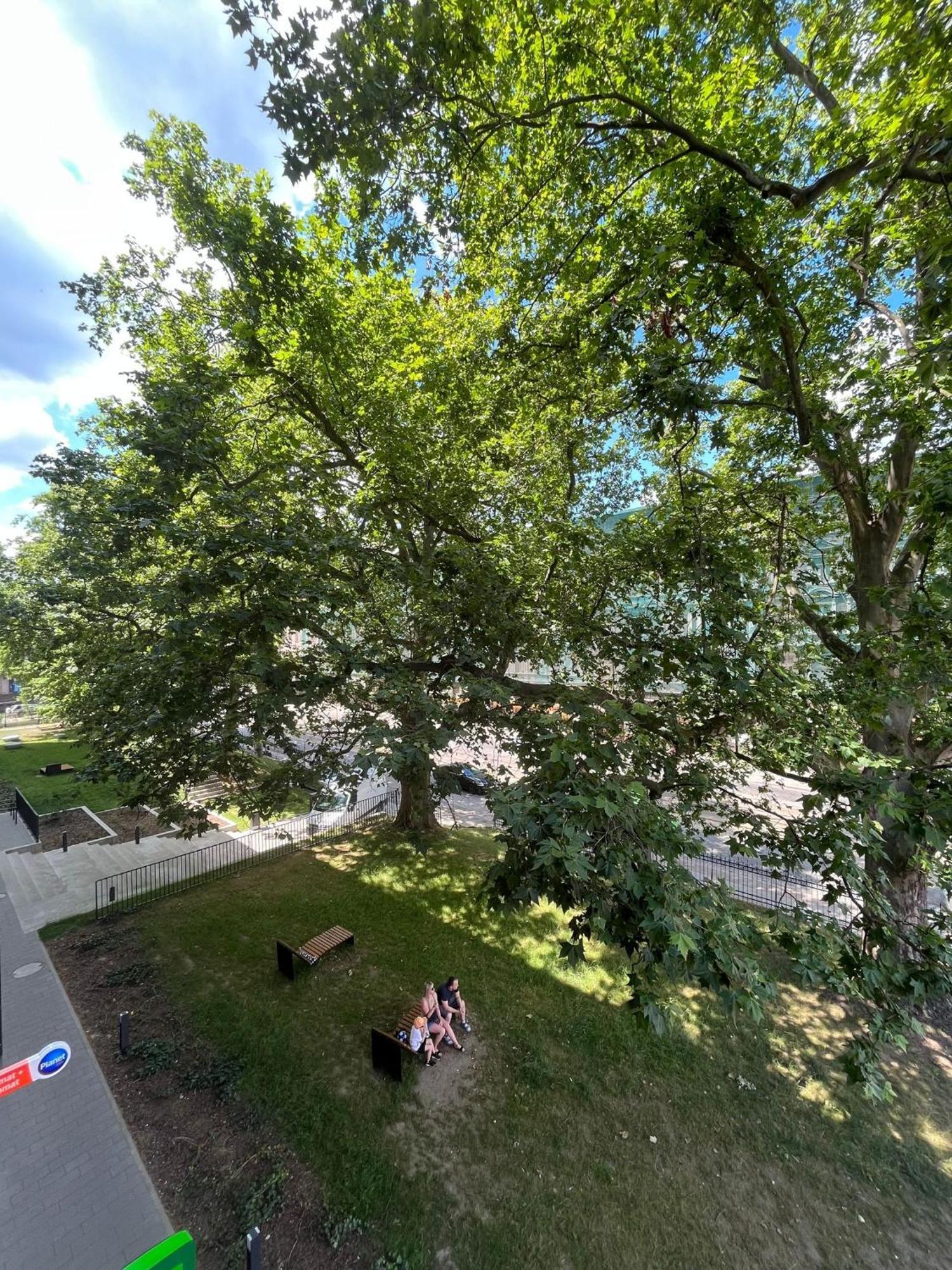 Komfort Z Balkonem W Centrum Wroclaw Dış mekan fotoğraf